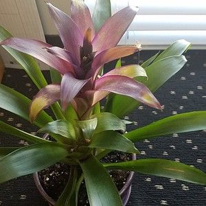 Meet your Posher, Kelli